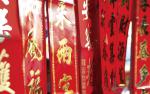 cn_newyear09_113
