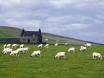 Scotland_014