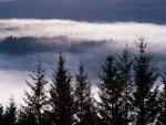 Scotland_018