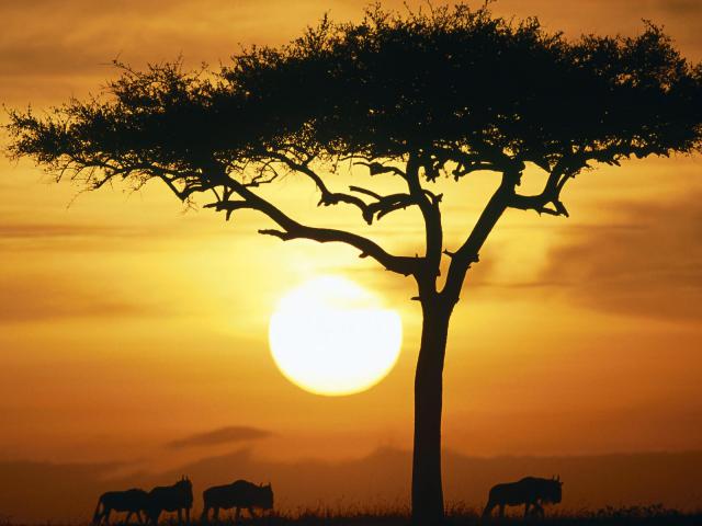 africa_006