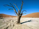 africa_024