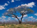 africa_031
