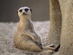 africa_038