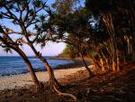 Australia_026