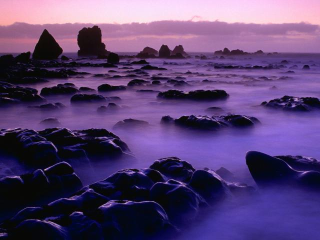 New_Zealand_026