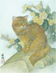 cat_68