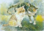 cat_69