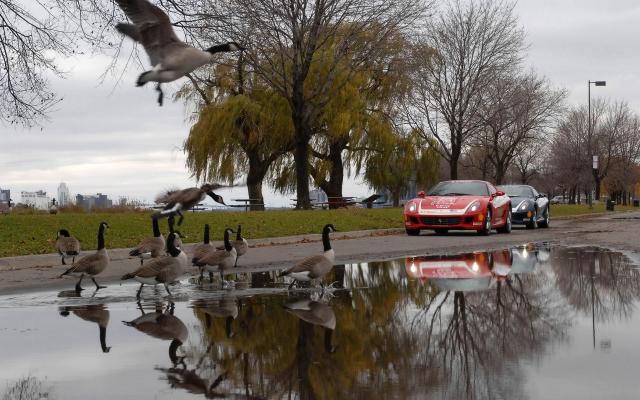 Ferrari_034