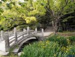 Japan_014