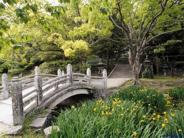 Japan_014