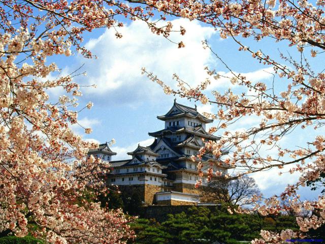 Japan_015