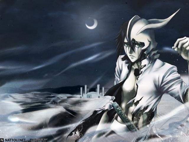 Bleach_062