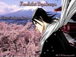 Bleach_131