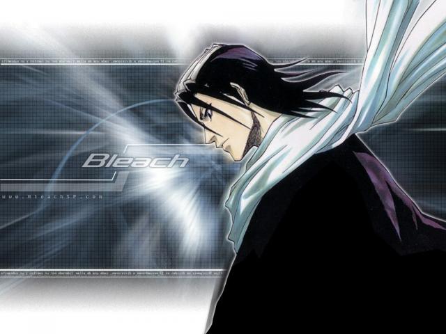 Bleach_134