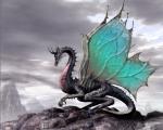 Dragon_016