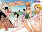 Bleach_207