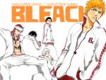 Bleach_210