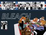 Bleach_213