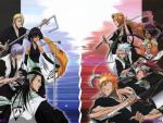 Bleach_222