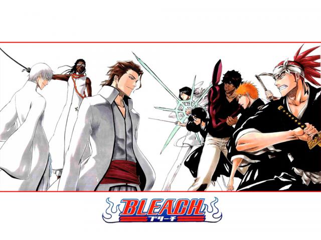 Bleach_225