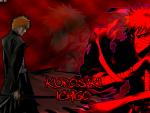 Bleach_241