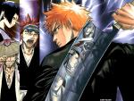 Bleach_242