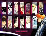 Bleach_243