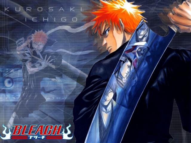 Bleach_245
