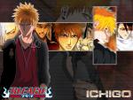Bleach_258