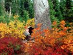 Parks_014