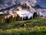 Parks_026