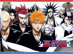 Bleach_282