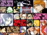 Bleach_295