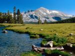 Parks_107
