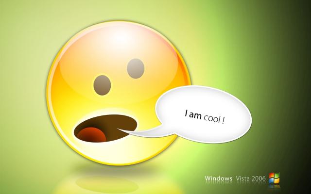 windows_vista_221