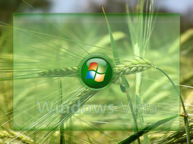 windows_vista_242