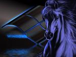 windows_xp_264