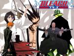 Bleach_351