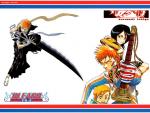 Bleach_358