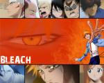 Bleach_360