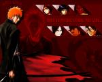 Bleach_364