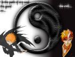 Bleach_384