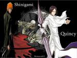 Bleach_447
