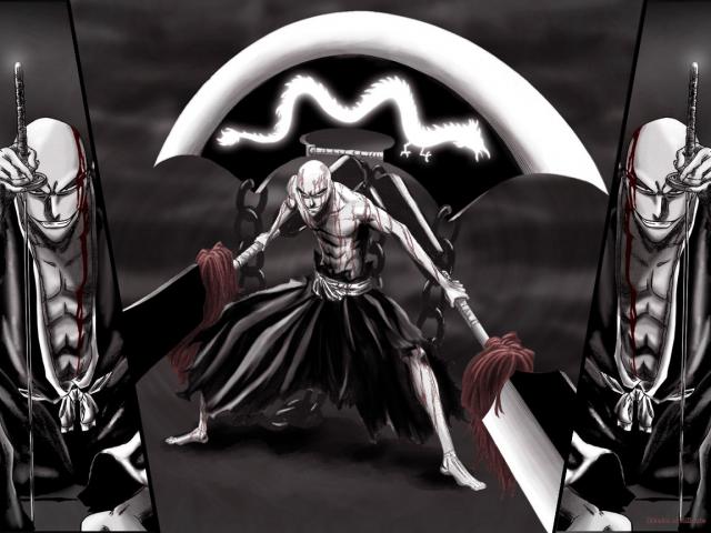Bleach_488
