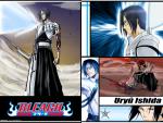 Bleach_542