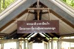watwaphukaew29