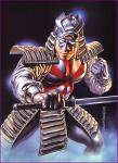 SilverSamurai