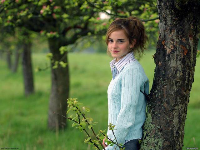 harry_potter019