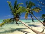 Ocean and Beach Wallpapers
