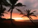 oceans_079